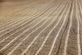 Plowed agricultural land Royalty Free Stock Photo