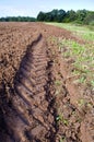 Plowed autumn farm field Royalty Free Stock Photo