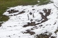 Frosty grass. Tractor trails through snow covered grass in winter Royalty Free Stock Photo