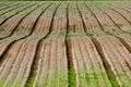 Plowed barren field