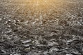 Plowed black earth soil on field Royalty Free Stock Photo