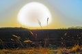 Plowed chernozem Ukrainian field at sunset Royalty Free Stock Photo