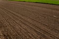 Plowed empty field