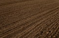 Plowed empty field