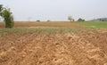 Plowed farm field in summer season Royalty Free Stock Photo