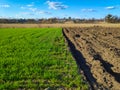 Plowed farming field ready for seed sowing, planting process. Newly ploughed soil with furrows, green grass. Royalty Free Stock Photo