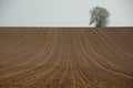 Plowed field Royalty Free Stock Photo