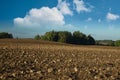 Plowed field in autumn