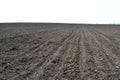 Plowed field Royalty Free Stock Photo