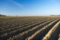 Plowed field and blue sky Royalty Free Stock Photo