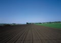 Plowed field and blue sky.