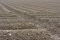 Brown Soil Field Agricultural Ground Royalty Free Stock Photo