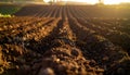Plowed field with brown soil rows at sunset Royalty Free Stock Photo
