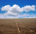 plowed field with cloudly sky, farmland in spring