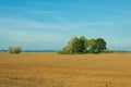 Plowed field landscape autumn sunny day season agriculture. Royalty Free Stock Photo