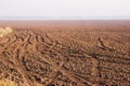 Plowed field at dawn Royalty Free Stock Photo