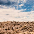 Plowed field and dramatic sky Royalty Free Stock Photo