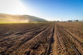 Plowed field with drip irrigation system, Royalty Free Stock Photo