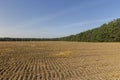 A plowed field with fertile soil for agricultural activities