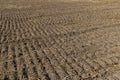 A plowed field with fertile soil for agricultural activities