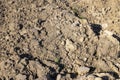 A plowed field with fertile soil for agricultural activities