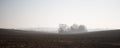 Plowed field at foggy morning Royalty Free Stock Photo