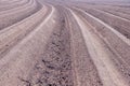 Plowed field furrows for potato cultivation