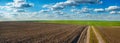 plowed field and fresh wheat dirt road in spring, beautiful blue sky with clouds Royalty Free Stock Photo