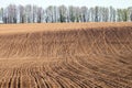 Plowed field on a hillside on the background of a row of trees. Royalty Free Stock Photo