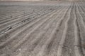 Plowed Field with Lines of Soil