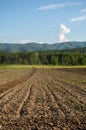 Plowed field with mountain Papuk in the background, Croatia