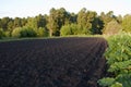 Plowed field near the forest Royalty Free Stock Photo