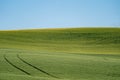 Plowed field in the Palouse of Washington State, with lines from the harvest in the field Royalty Free Stock Photo