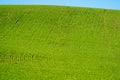 Plowed field in the Palouse of Washington State, with lines from the harvest in the field Royalty Free Stock Photo