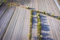 Plowed field in Poland, Masovia region Royalty Free Stock Photo