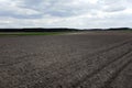 Plowed field, ready for sowing