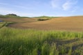 Plowed field rolling hills Palouse Country USA Royalty Free Stock Photo