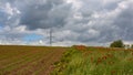 View of the plowed field. A small farm. Cereal cultivation Arable land. Good things. Royalty Free Stock Photo