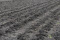 Plowed field of soil ready for planting Royalty Free Stock Photo