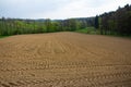 Plowed field in spring