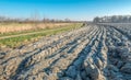 Plowed field on a sunny day in wintertime Royalty Free Stock Photo