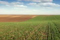 Plowed field and young green wheat landscape autumn Royalty Free Stock Photo