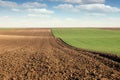 Plowed field and young green wheat landscape autumn day Royalty Free Stock Photo