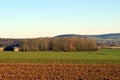 Plowed field and young thumb with a grove