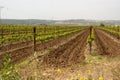 Plowed furrows in Hanadiv valley, Israel Royalty Free Stock Photo