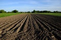 Plowed garden. Plowed chernozem. Cultivated farmland. Scenery Royalty Free Stock Photo