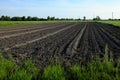 Plowed garden. Plowed chernozem. Cultivated farmland. Scenery