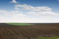 Plowed and green wheat fields in spring Royalty Free Stock Photo