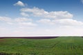 Plowed and green wheat fields in spring Royalty Free Stock Photo