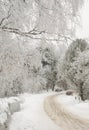 Plowed and gritted suburban road